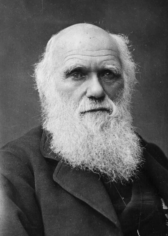Darwin, Charles portrait