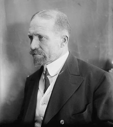 Todd, David P. portrait