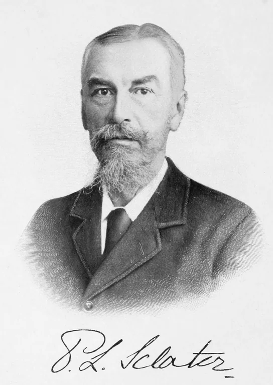 Sclater, Philip Lutley portrait
