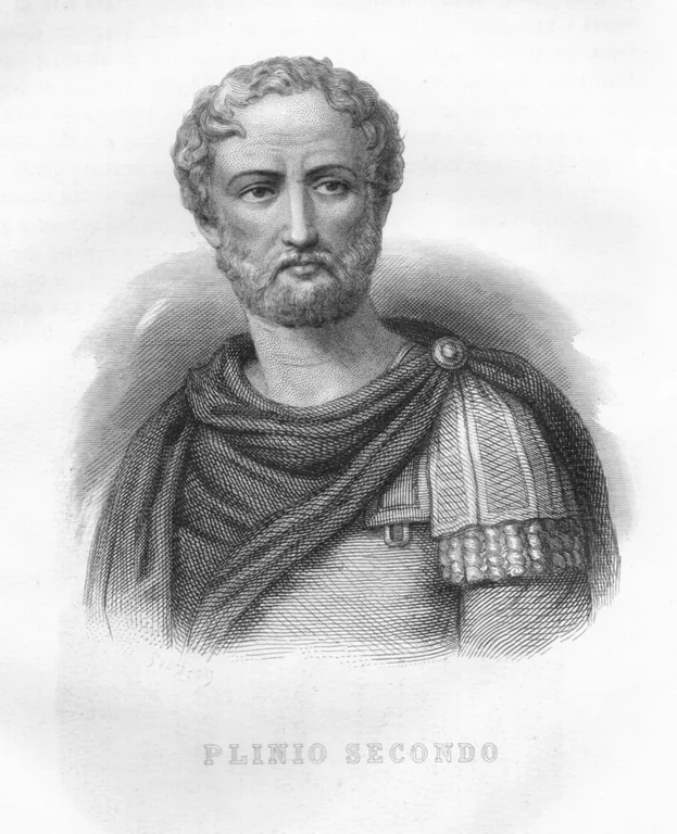 Pliny, the Elder portrait