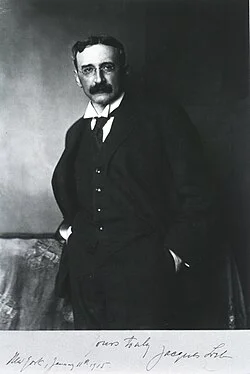 Loeb, Jacques portrait