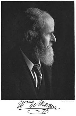 De Morgan, William portrait
