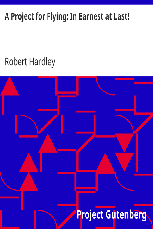 A Project for Flying: In Earnest at Last! cover