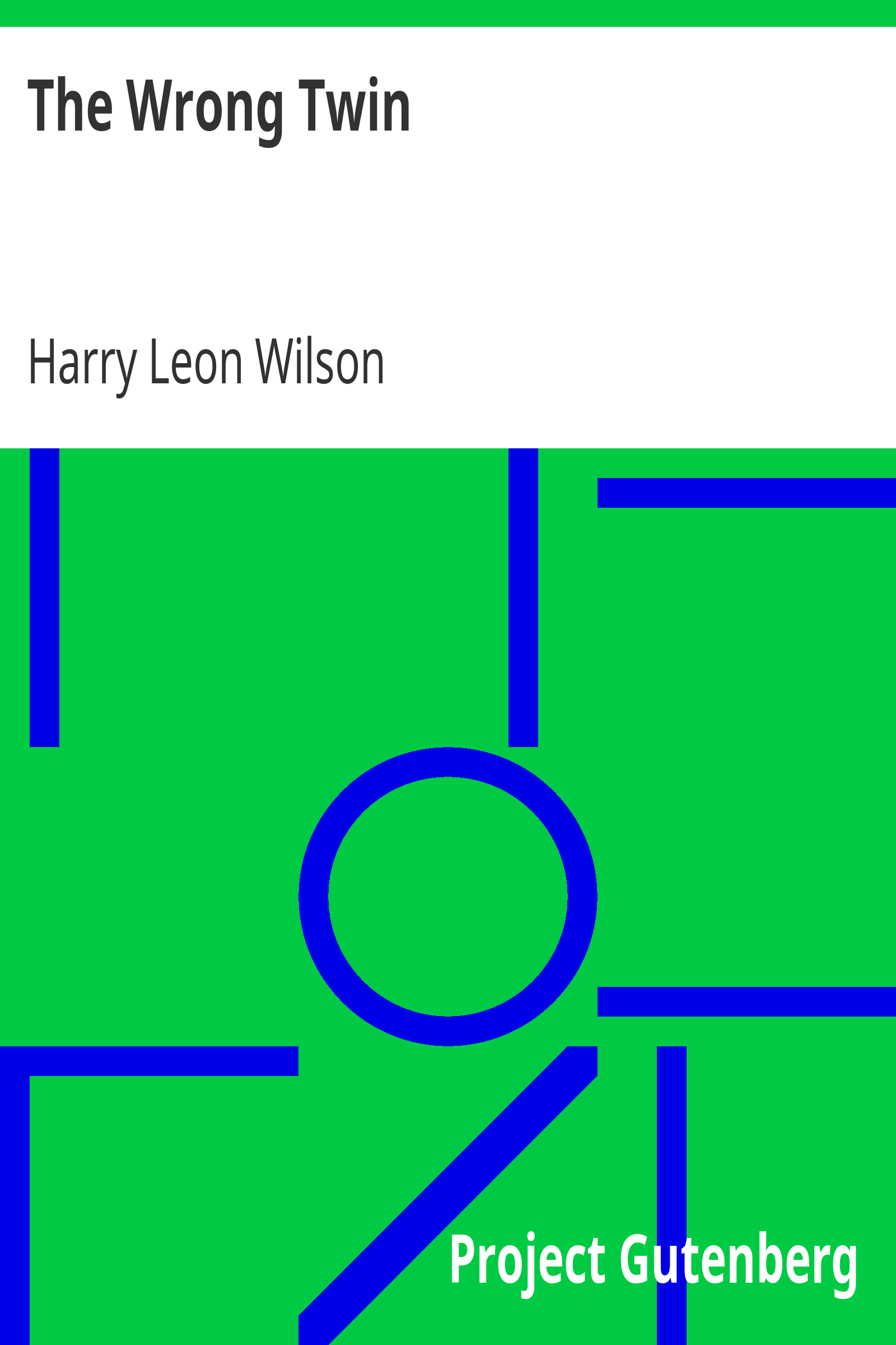 The Wrong Twin cover