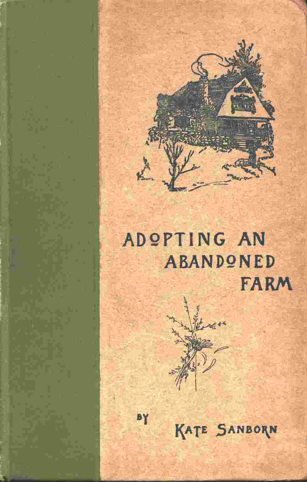 Adopting an Abandoned Farm cover