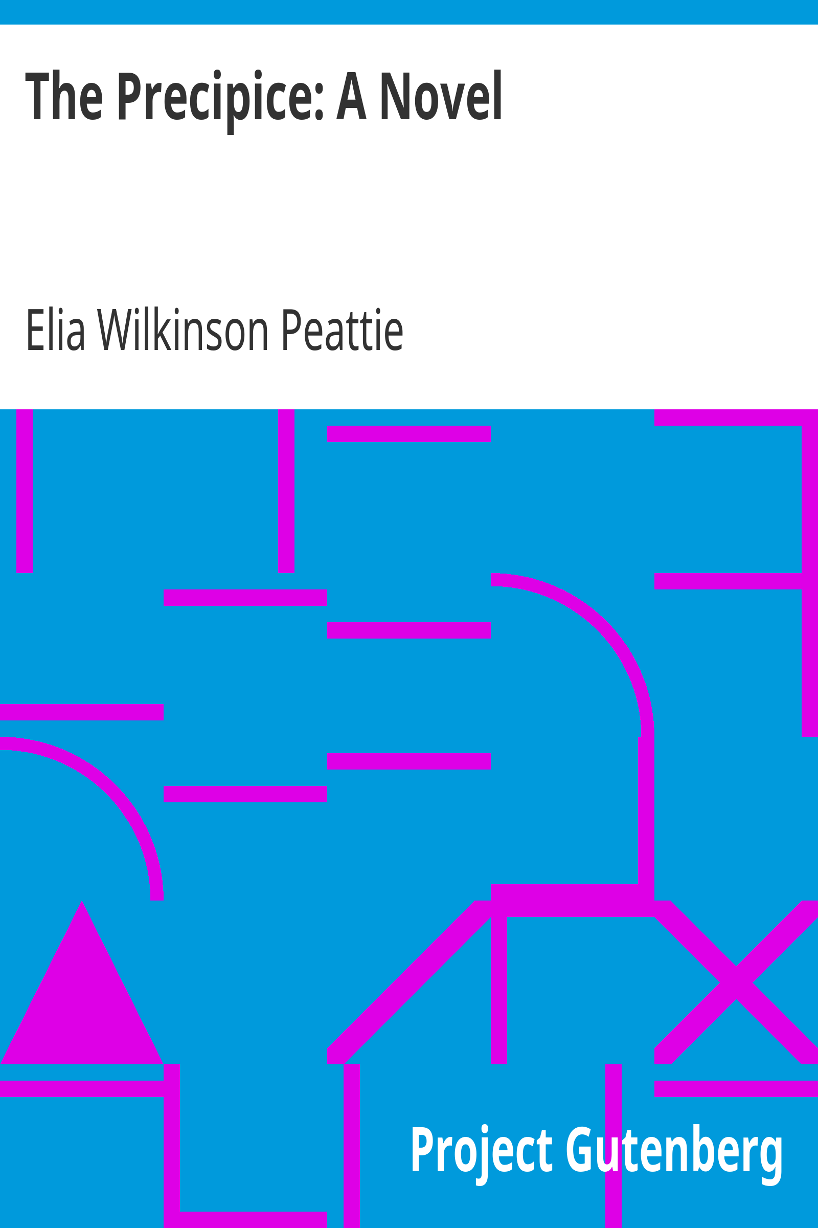 The Precipice: A Novel cover