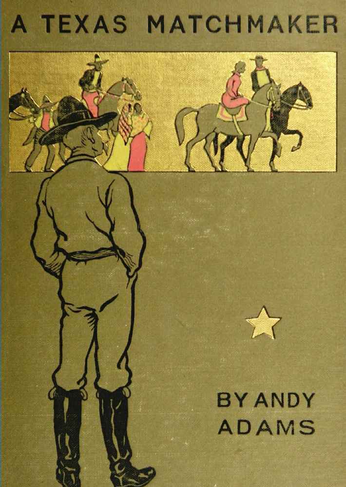 A Texas Matchmaker cover