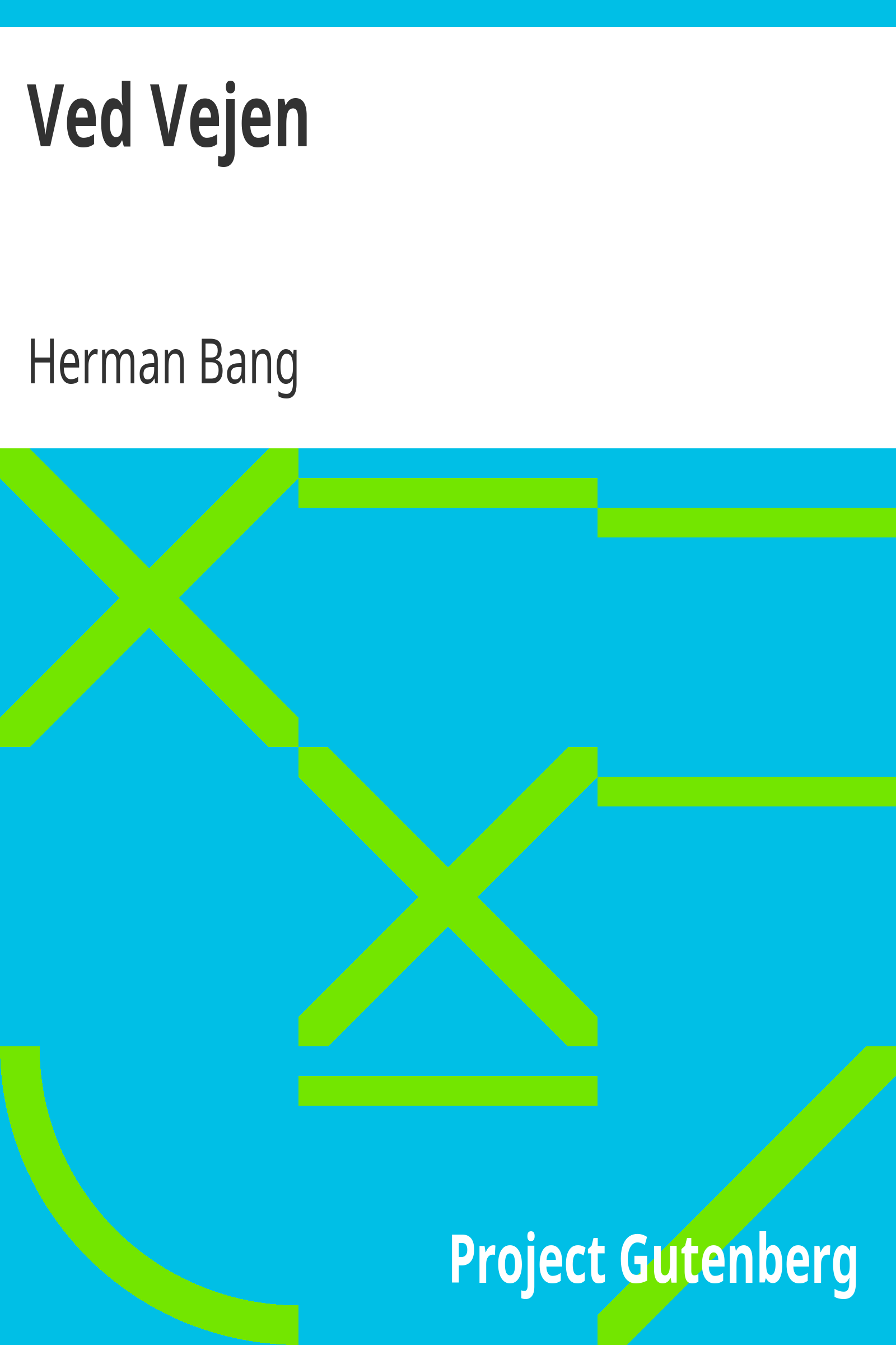 Ved Vejen cover