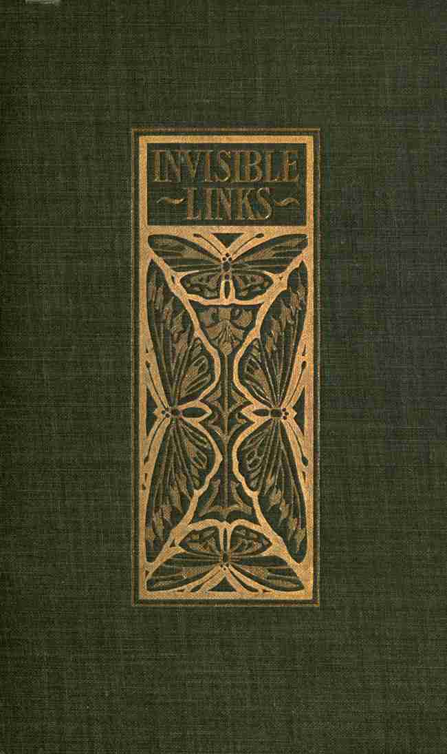 Invisible Links cover