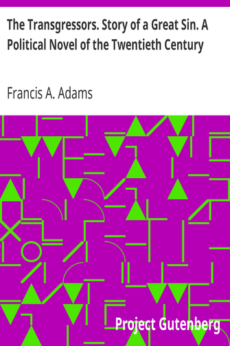 The Transgressors. Story of a Great Sin. A Political Novel of the Twentieth Century cover