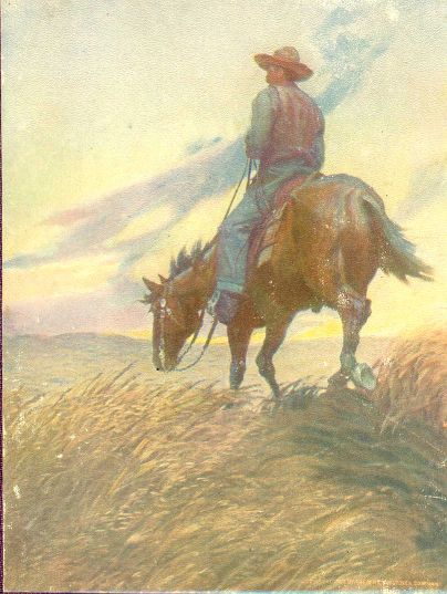 Winston of the Prairie cover