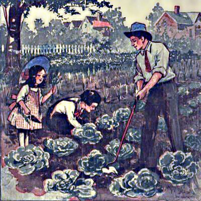 Daddy Takes Us to the Garden / The Daddy Series for Little Folks cover