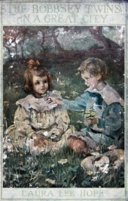 The Bobbsey Twins in a Great City cover