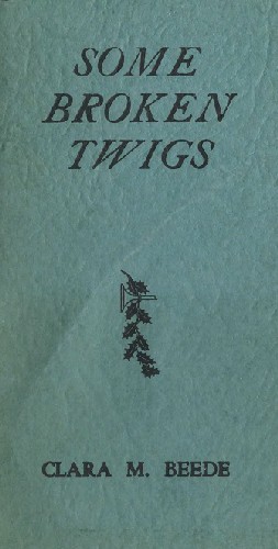 Some Broken Twigs cover