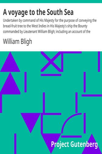A voyage to the South Sea cover