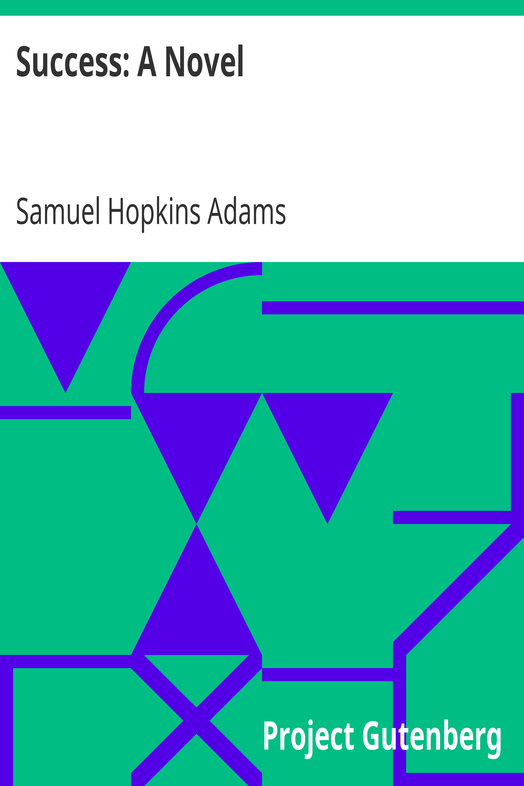 Success: A Novel cover