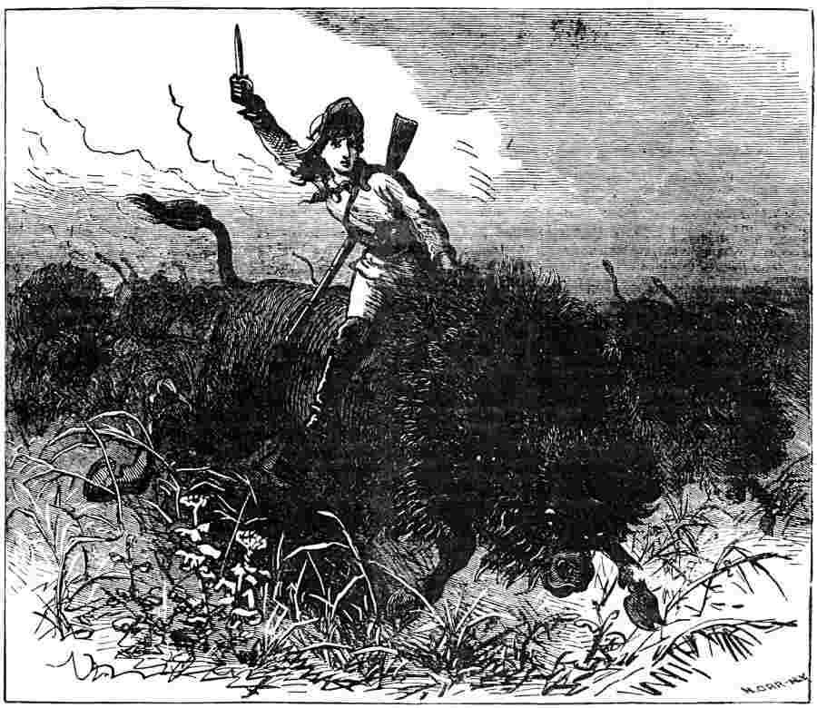Beadle's Boy's Library of Sport, Story and Adventure, Vol. I, No. 1. / Adventures of Buffalo Bill from Boyhood to Manhood cover