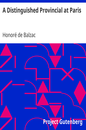 A Distinguished Provincial at Paris cover