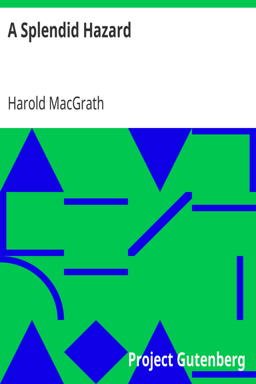 A Splendid Hazard cover