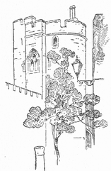 Winchester cover