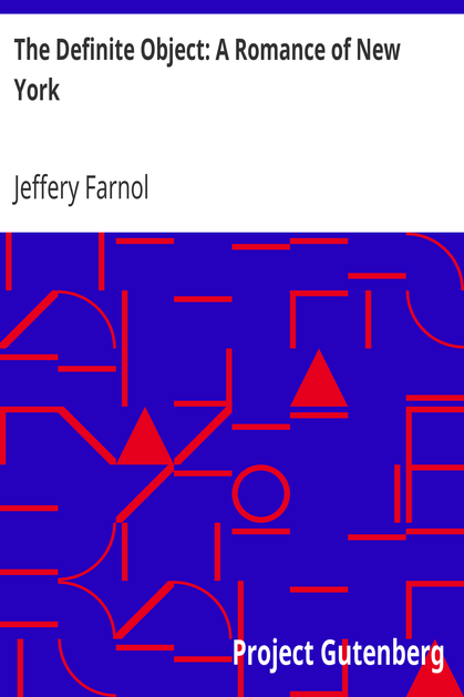 The Definite Object: A Romance of New York cover