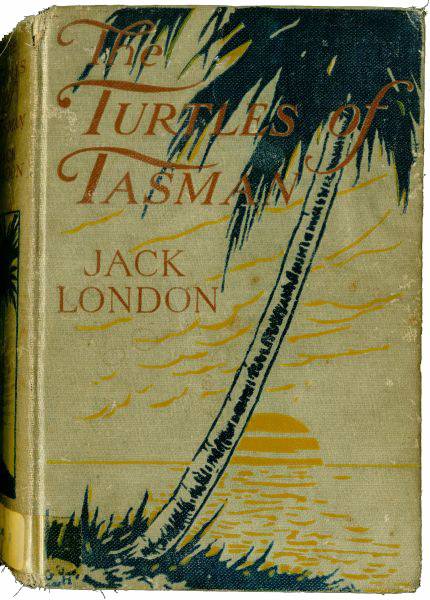 The Turtles of Tasman cover