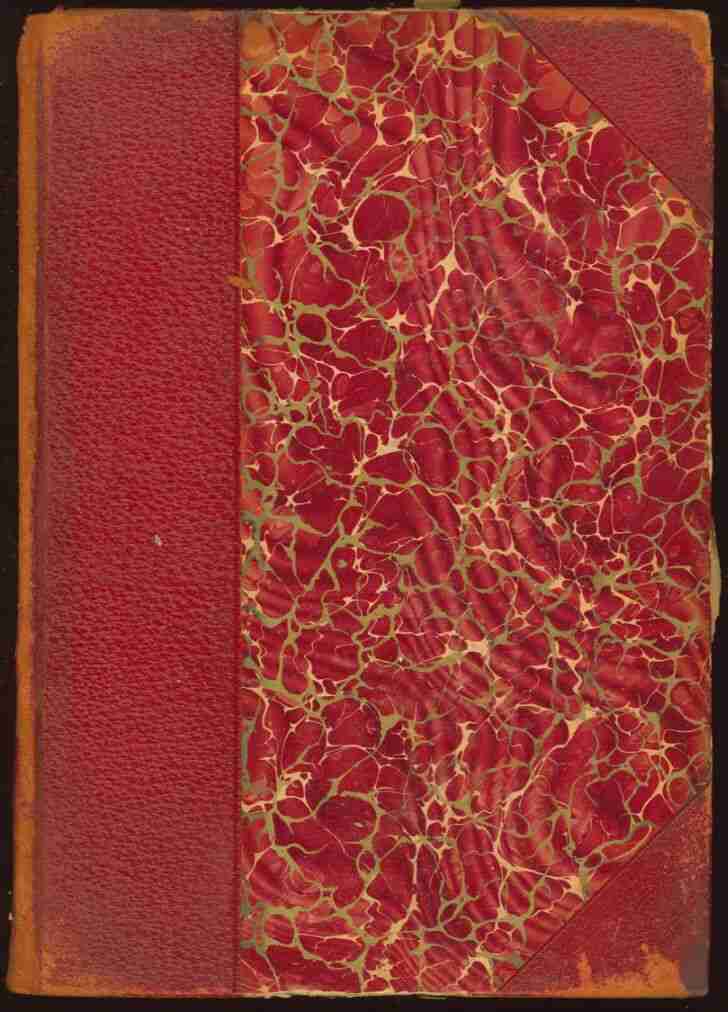 History of Egypt, Chaldæa, Syria, Babylonia, and Assyria, Volume 2 (of 12) cover