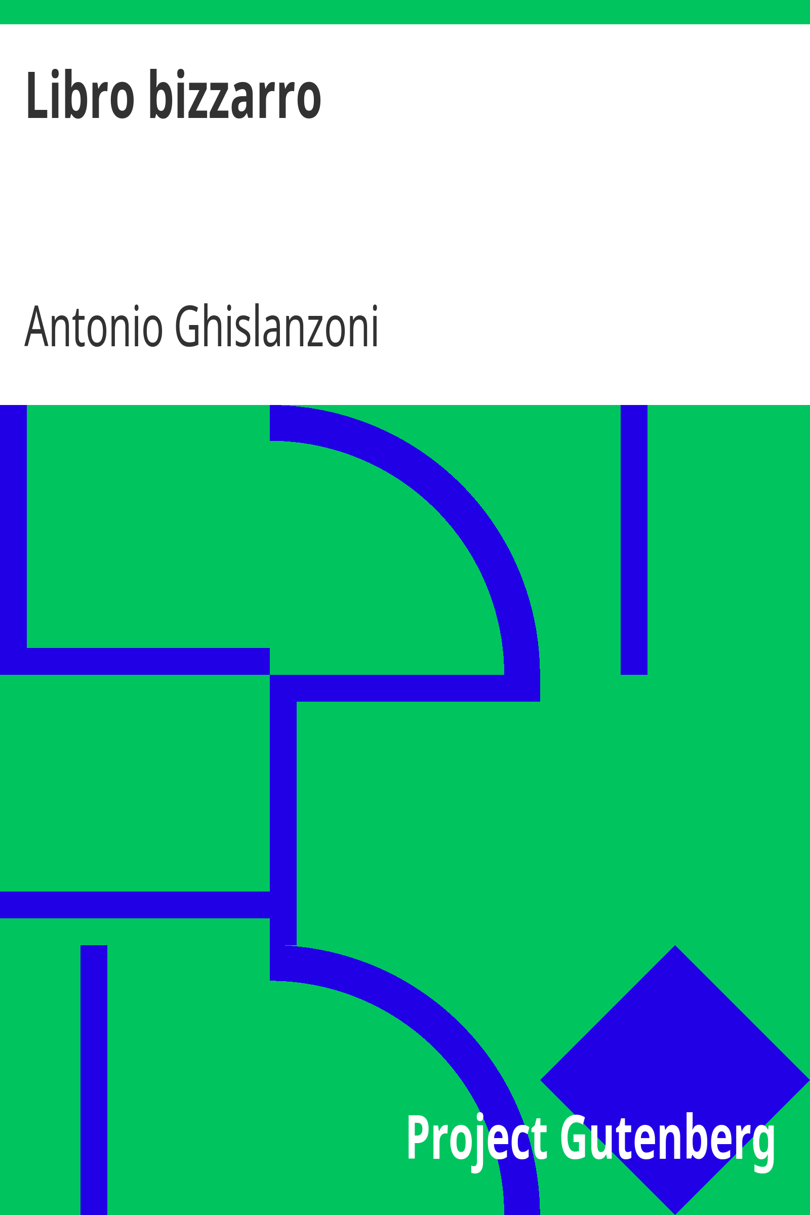 Libro bizzarro cover