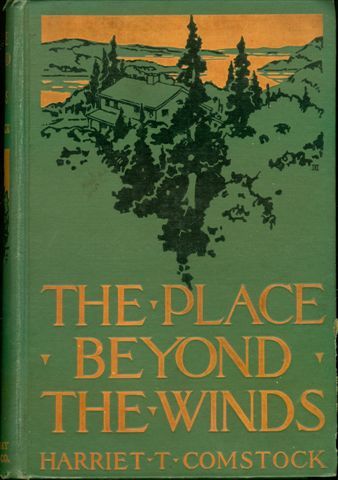 The Place Beyond the Winds cover