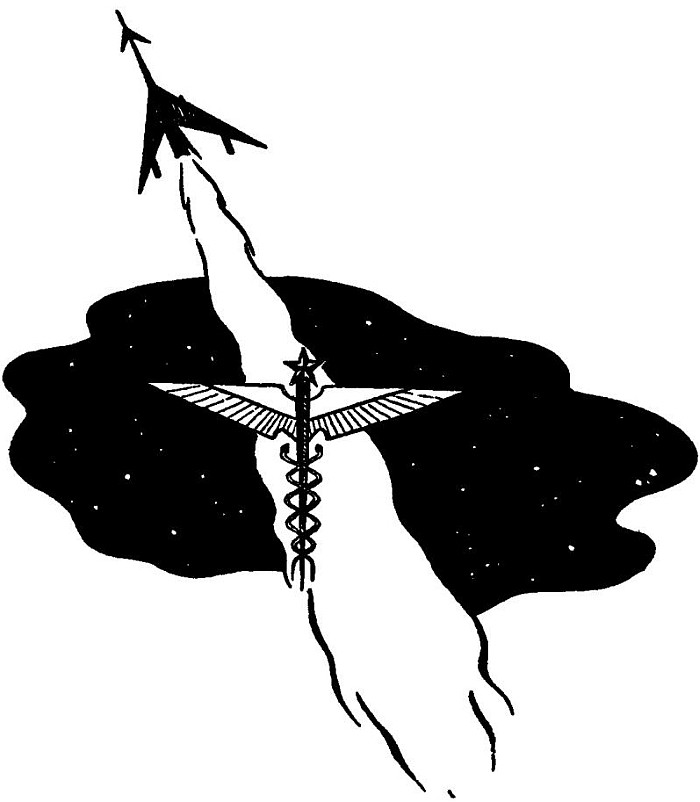 Star Surgeon cover
