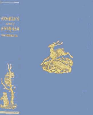 Stories about Animals: with Pictures to Match cover