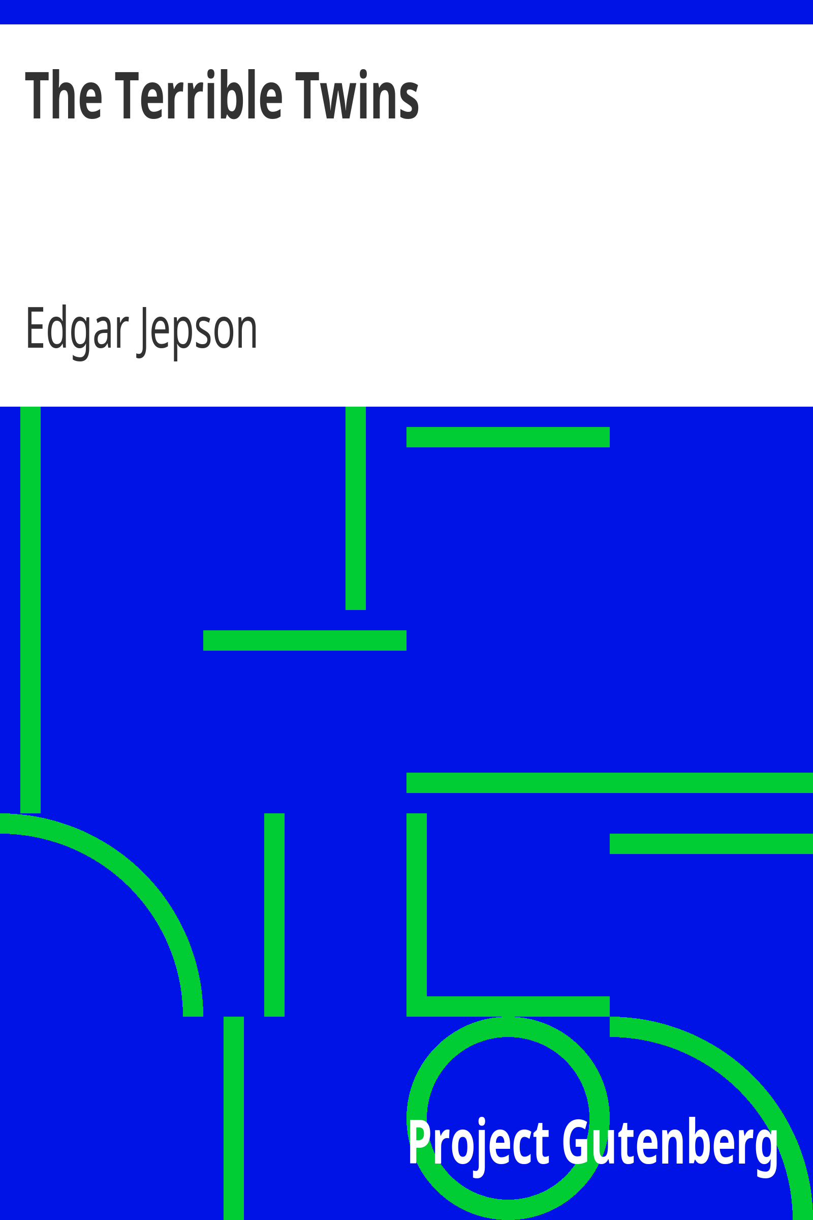 The Terrible Twins cover