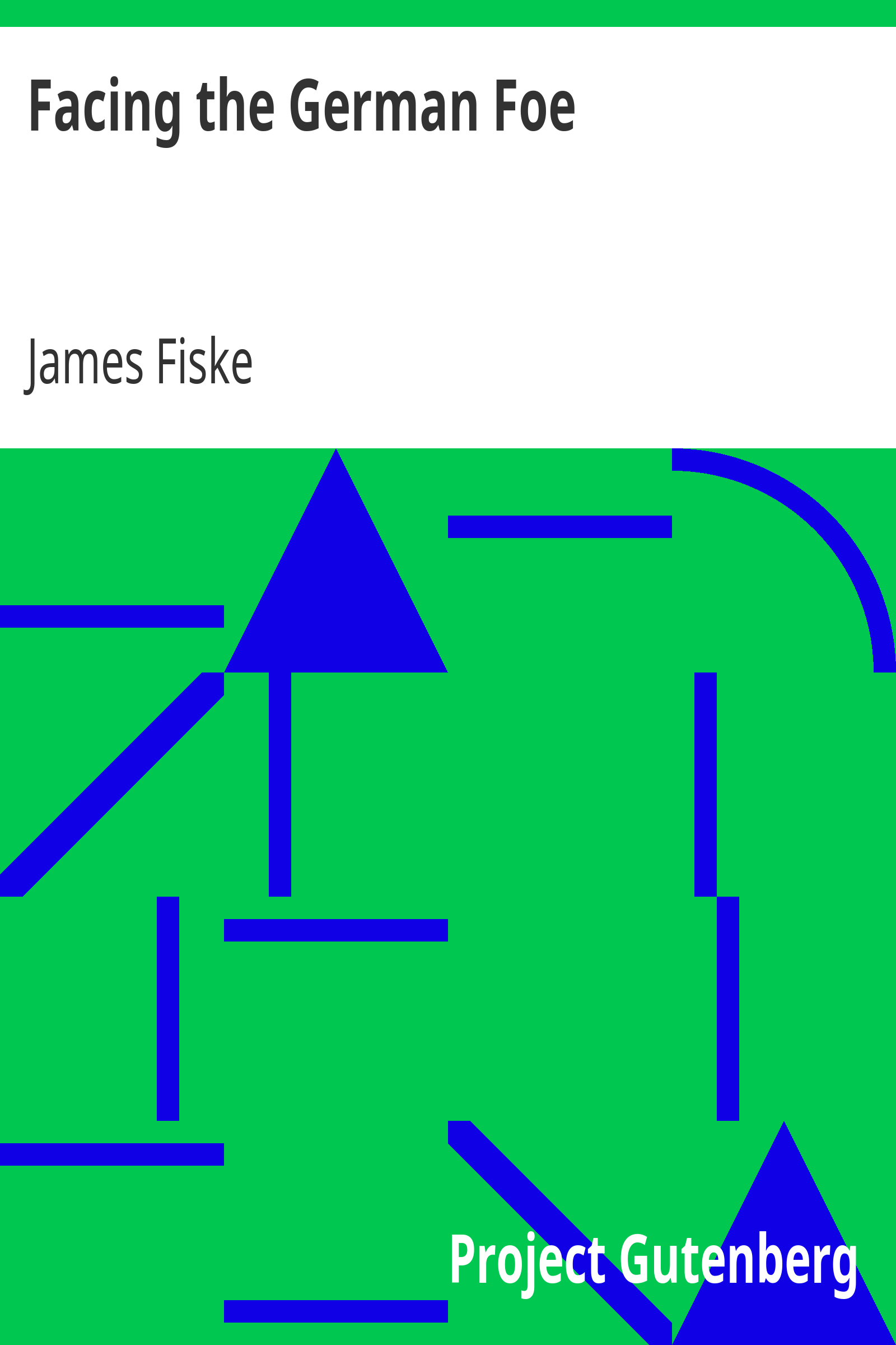 Facing the German Foe cover