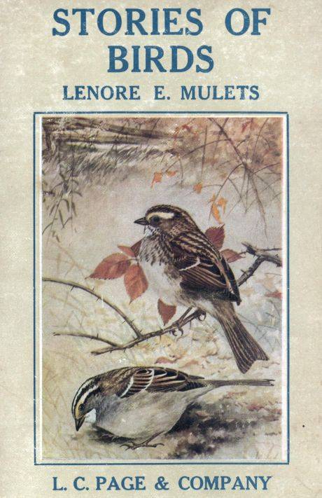 Stories of Birds cover