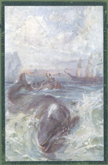 Fighting the Whales cover