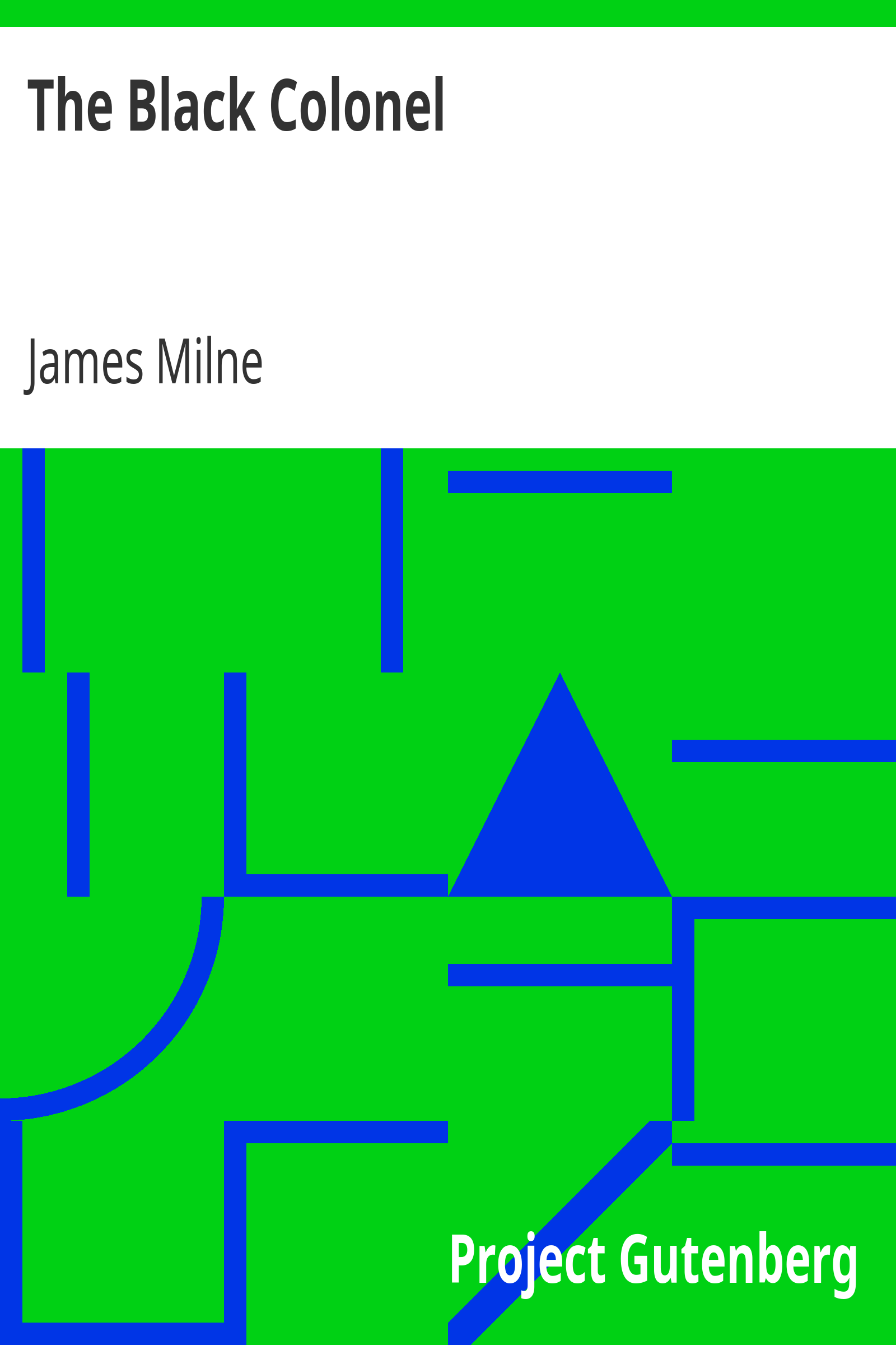 The Black Colonel cover