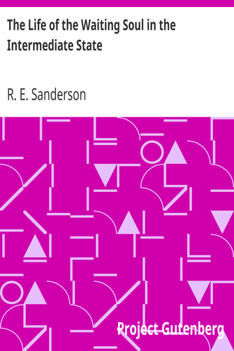 The Life of the Waiting Soul in the Intermediate State cover