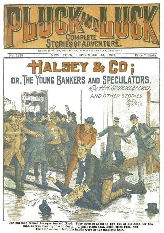 Halsey & Co. / or, The Young Bankers and Speculators cover