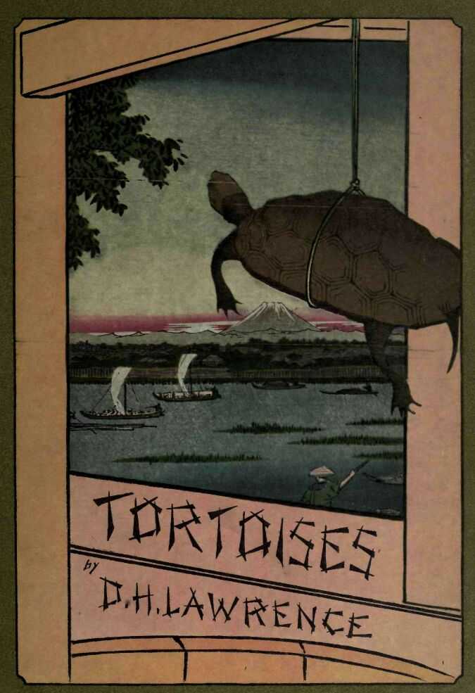 Tortoises cover