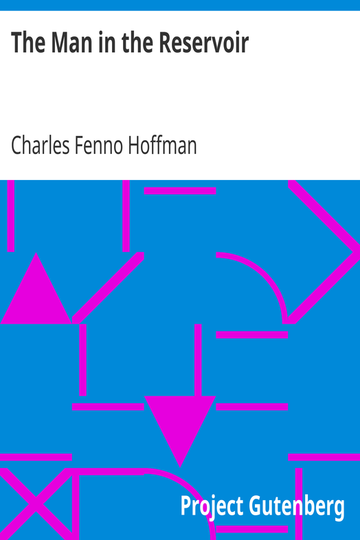 The Man in the Reservoir cover