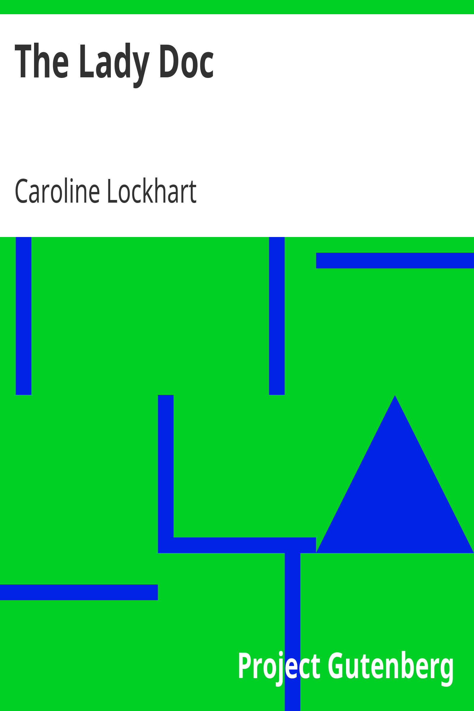 The Lady Doc cover