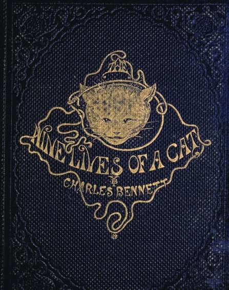 The Nine Lives of A Cat: A Tale of Wonder cover