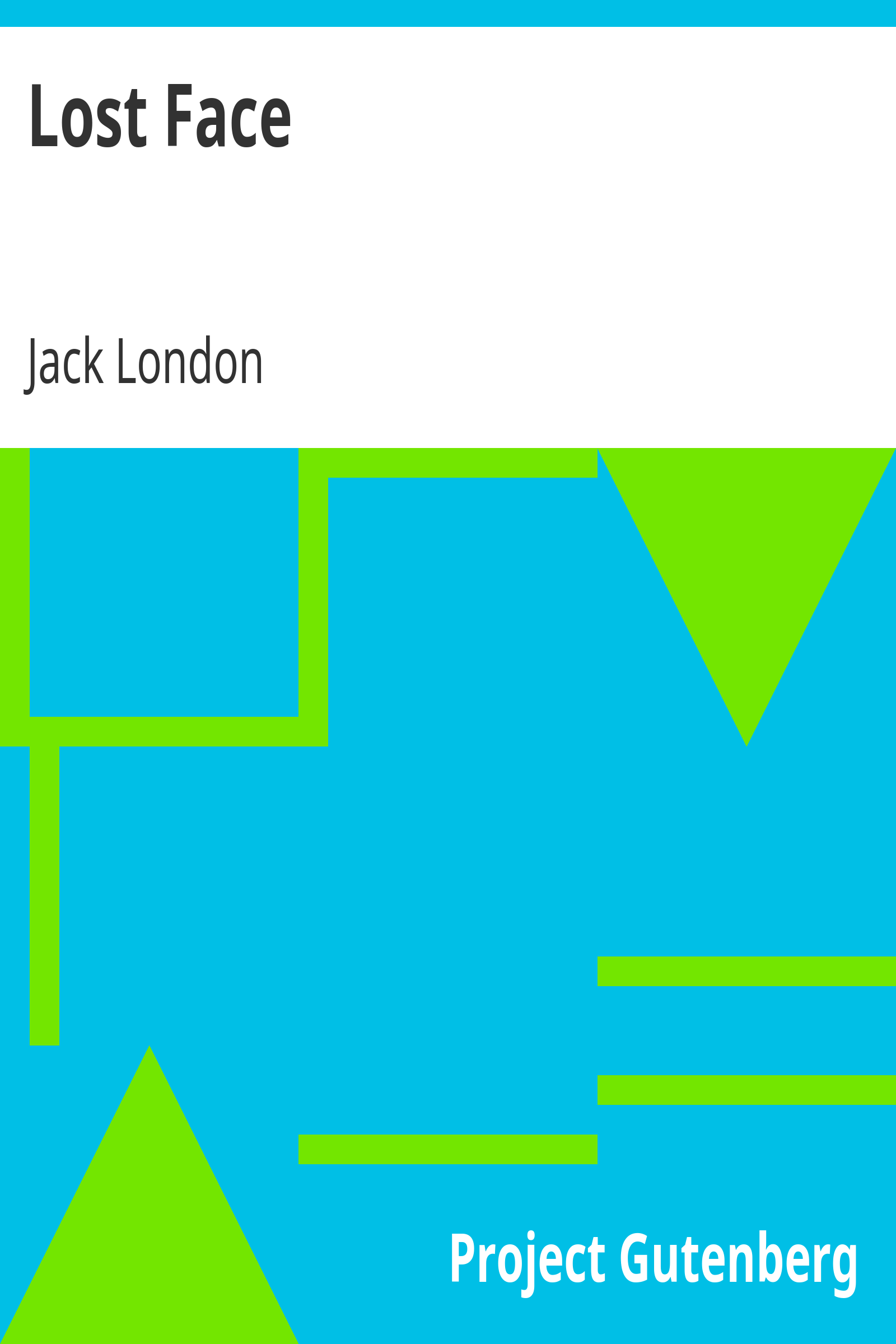 Lost Face cover