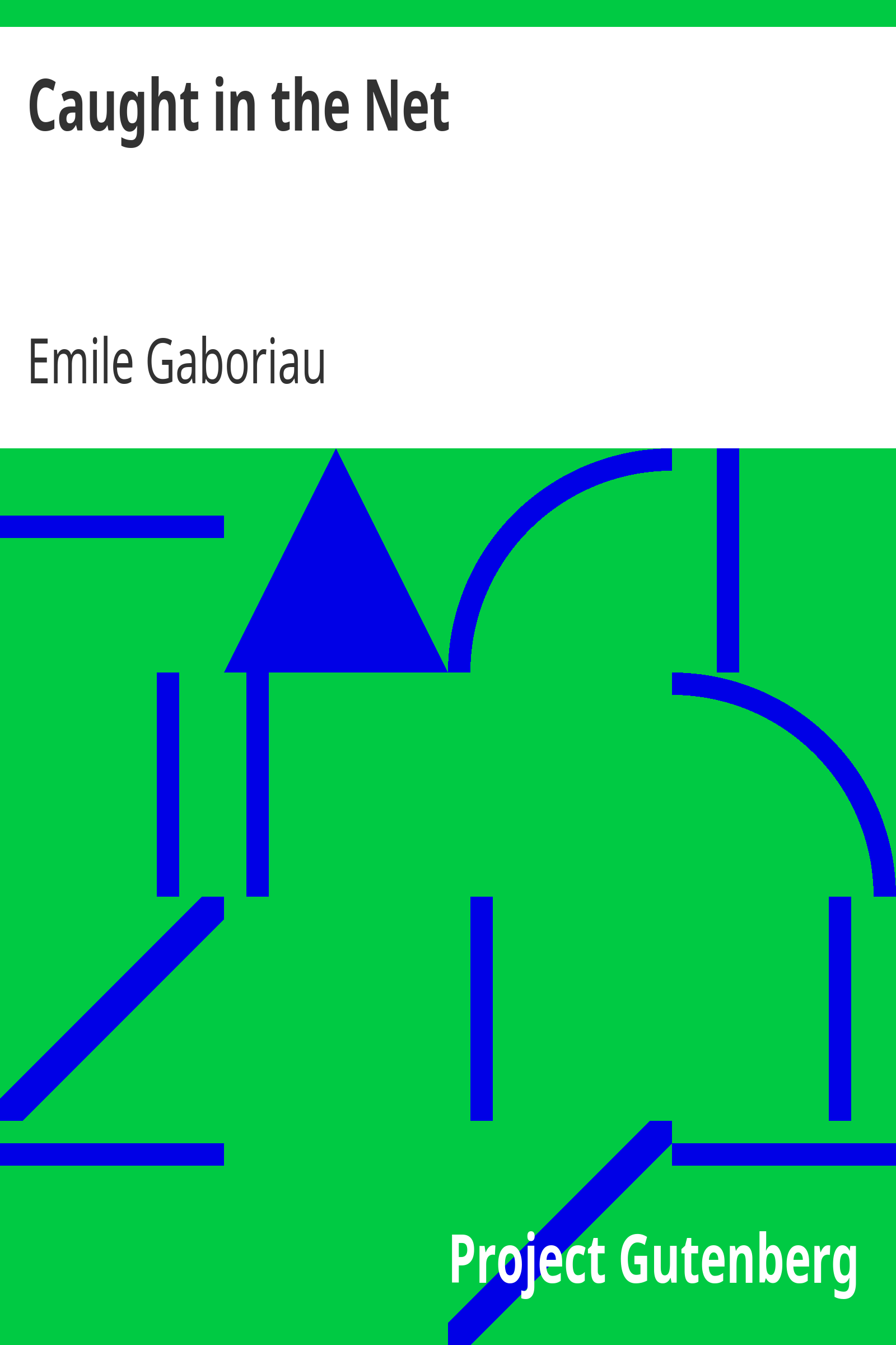 Caught in the Net cover