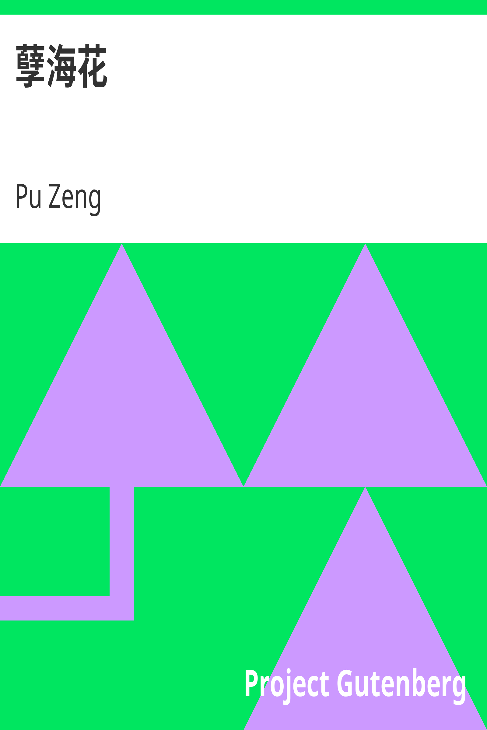 孽海花 cover