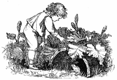 Wood Magic: A Fable cover
