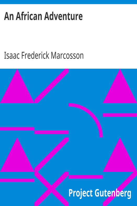 An African Adventure cover