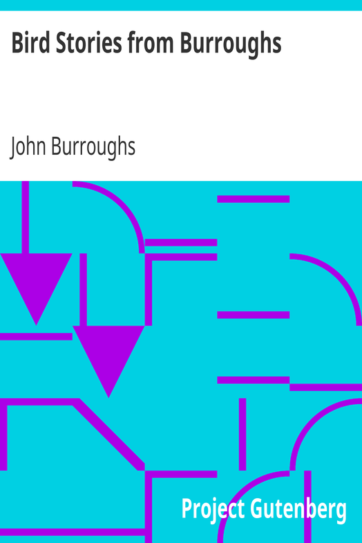 Bird Stories from Burroughs / Sketches of Bird Life Taken from the Works of John Burroughs cover
