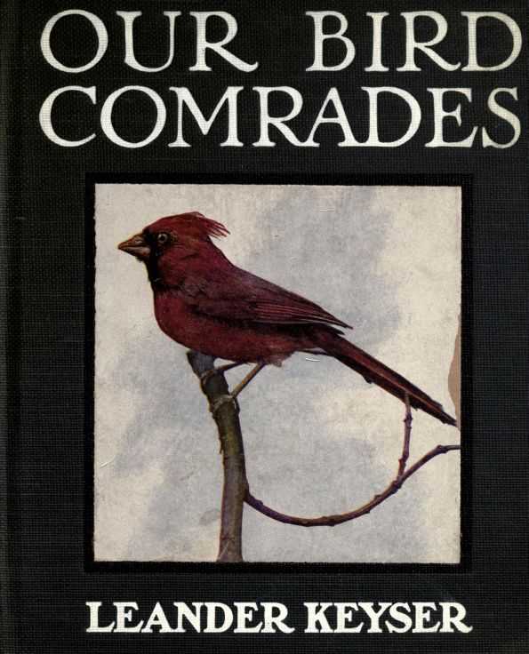 Our Bird Comrades cover