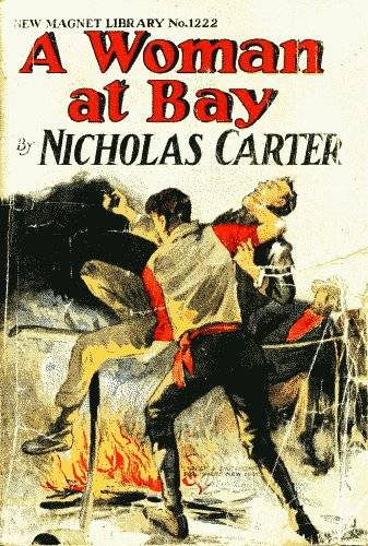 A Woman at Bay; Or, A Fiend in Skirts cover